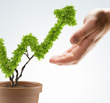 Empaques flexibles en Guadalajara, México y Monterrey