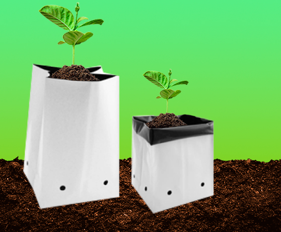 Empaques flexibles en Guadalajara, México y Monterrey